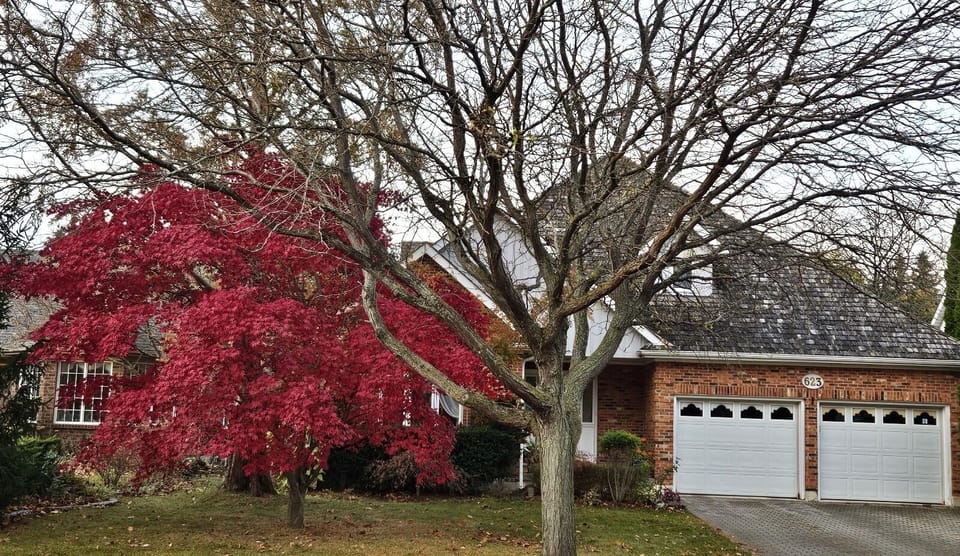 Fall colors