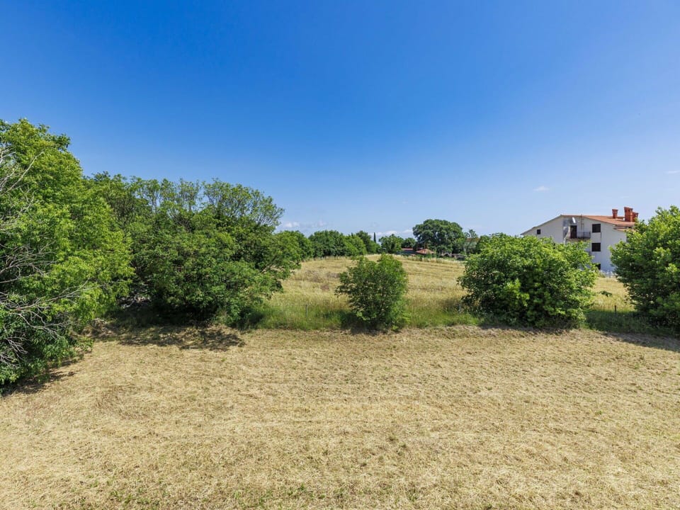 Sky, Blue, Daytime, Tree, Natural Environment, Grass, Green, Vegetation, Grassland, Plain