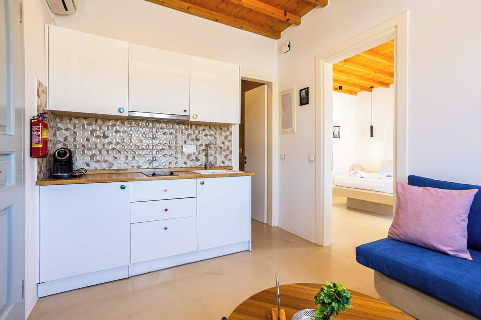 Kitchen and Living Area with Comfortable Seating