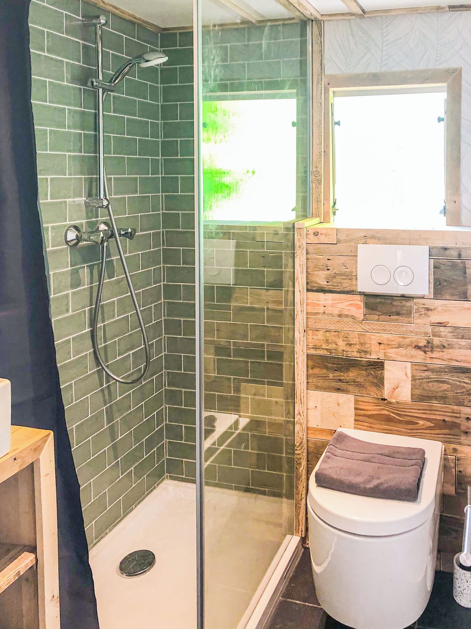 Shower, towels, toilet paper