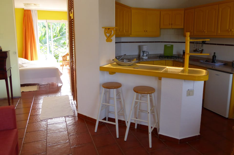Basic Apartment, 1 Bedroom | Private kitchenette | Fridge, microwave, stovetop, espresso maker