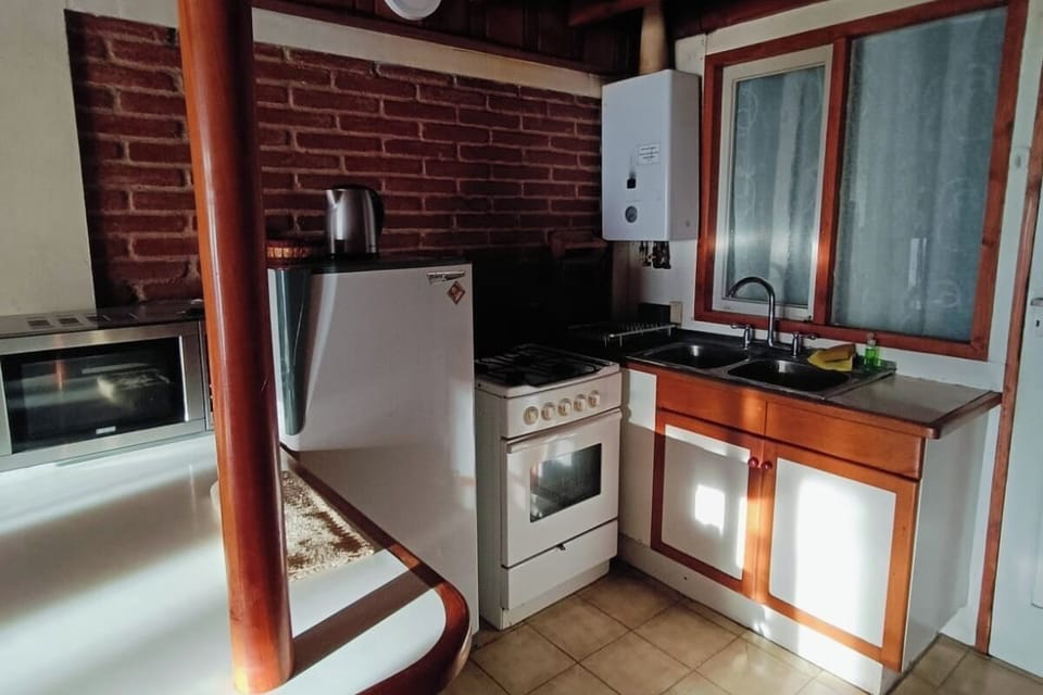 Family Cabin | Private kitchen | Shared fridge, microwave