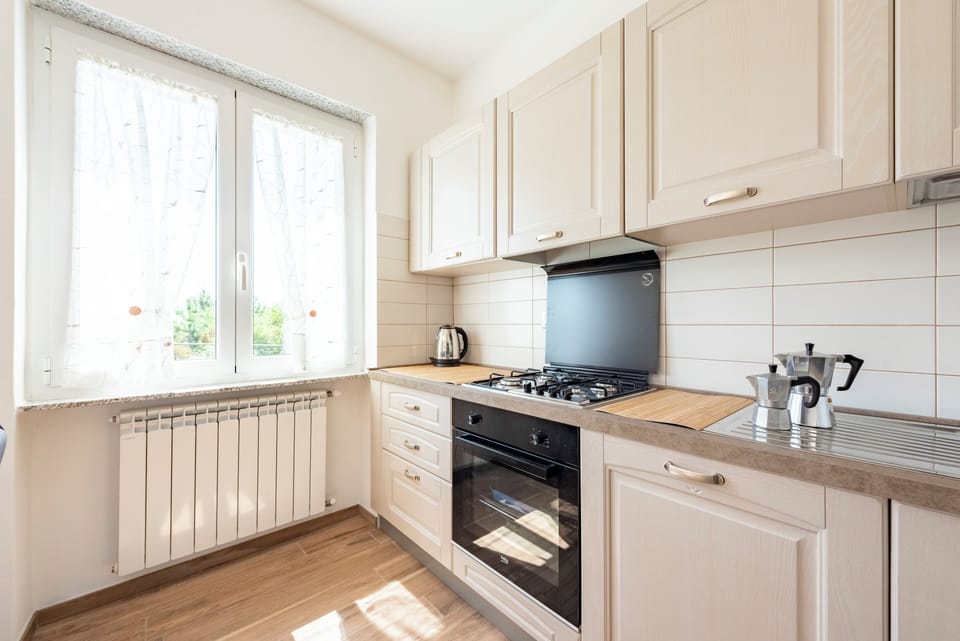 Apartment, 1 Double Bed with Sofa bed, Mountain View | Private kitchen | Fridge, microwave, oven, stovetop