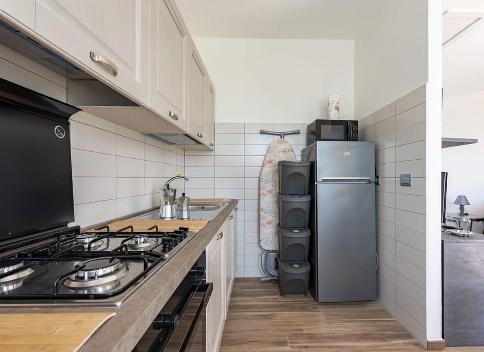 Apartment, 1 Double Bed with Sofa bed, Mountain View | Private kitchen | Fridge, microwave, oven, stovetop