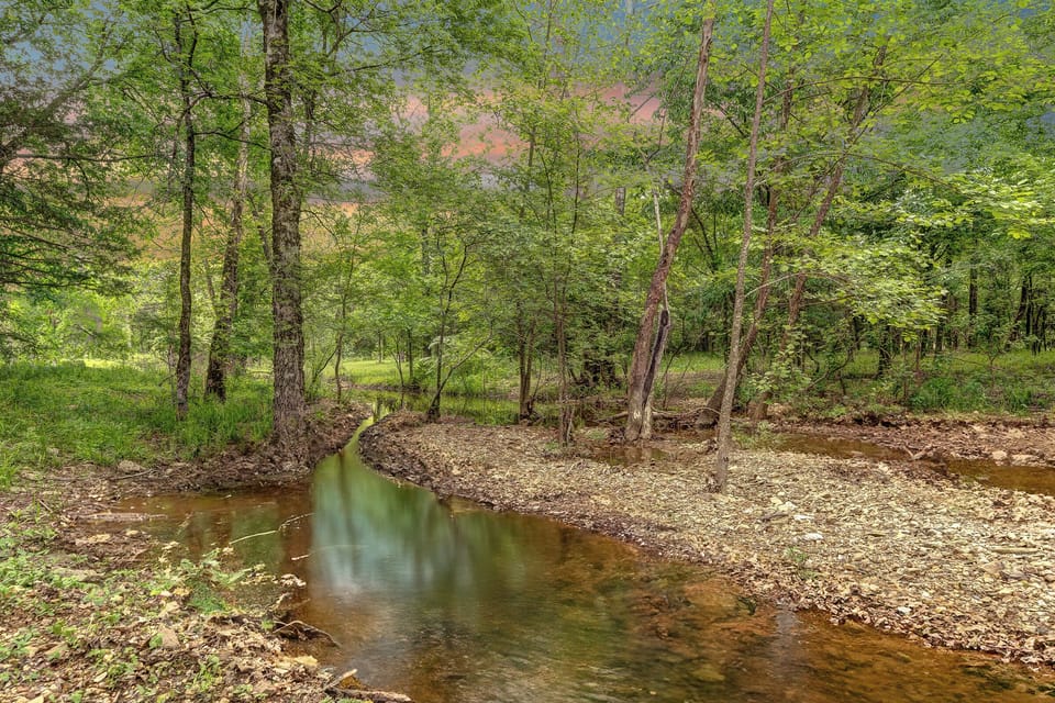 Peaceful on property creek