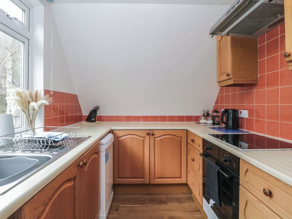 Fridge, microwave, dishwasher, cookware/dishes/utensils