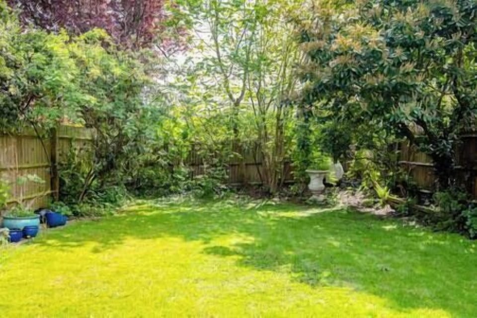 Garden (1)