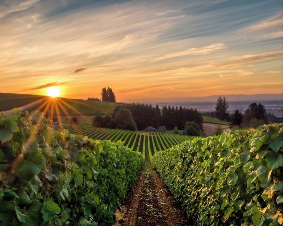 Beautiful Willamette Valley