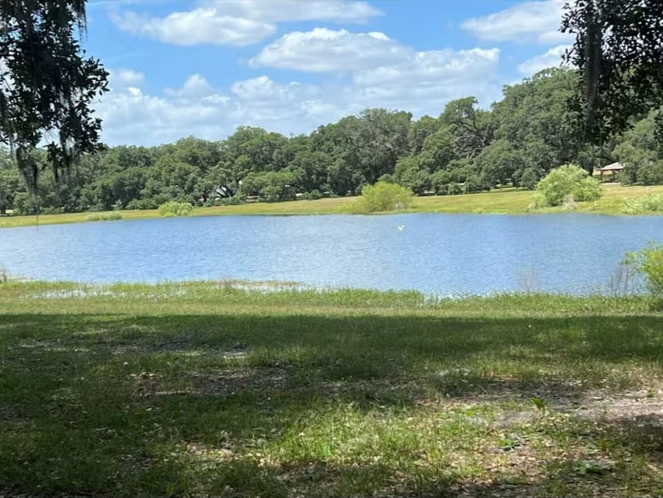 Lake park 