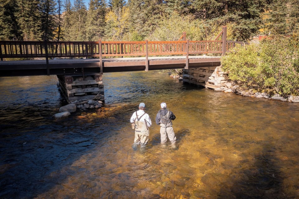 Gold Medal Fly Fishing