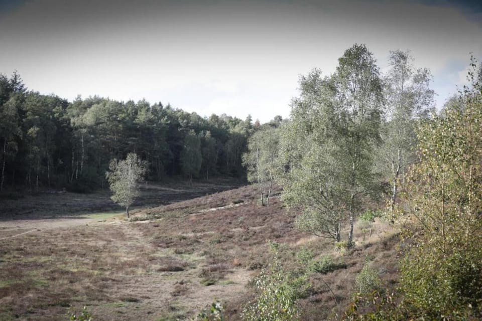 Surroundings [summer] (1-5 km)