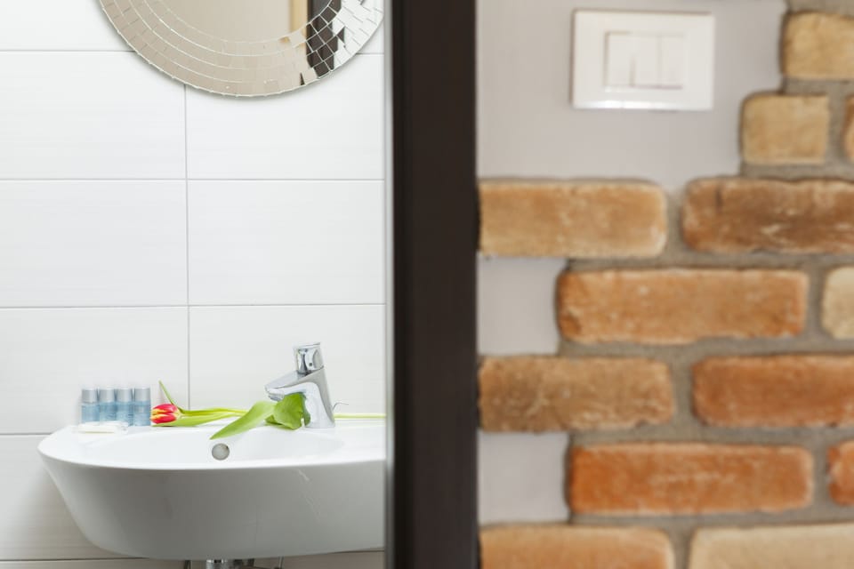 Classic Double Room | Bathroom | Shower, free toiletries, hair dryer, towels