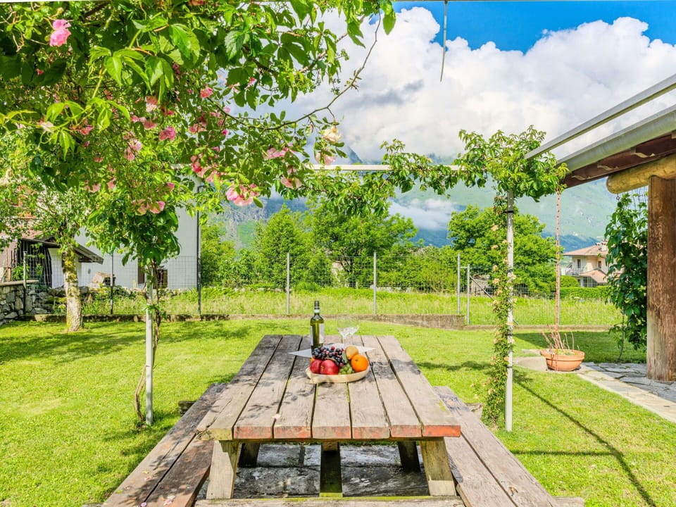 Garden, Shade, Lawn, Leisure, Bicycle, Meadow, Park, Yard, Bicycle Wheel