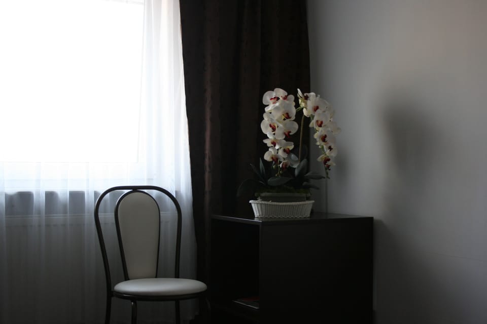 Classic Single Room, 1 Large Twin Bed, Non Smoking | Desk, cribs/infant beds, free WiFi, bed sheets