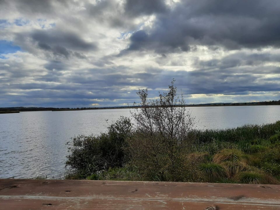 House | Water view