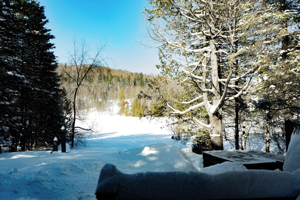View from property