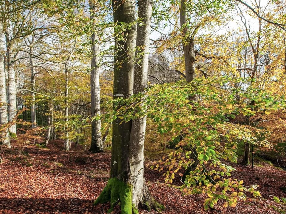 House | View from property