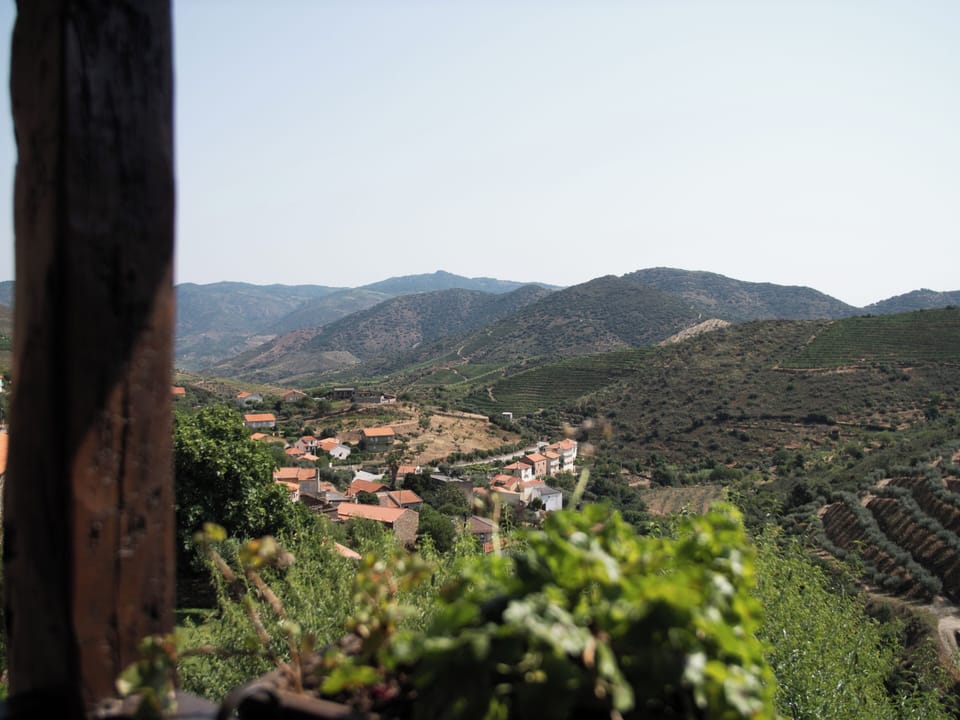 Mountain view
