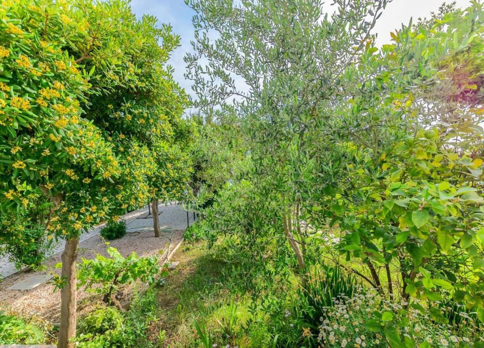 Apartment | View from property