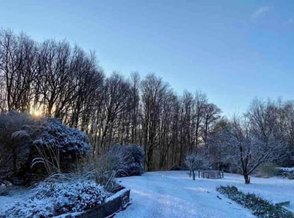 A snowy morning looking down The Bothy driveway