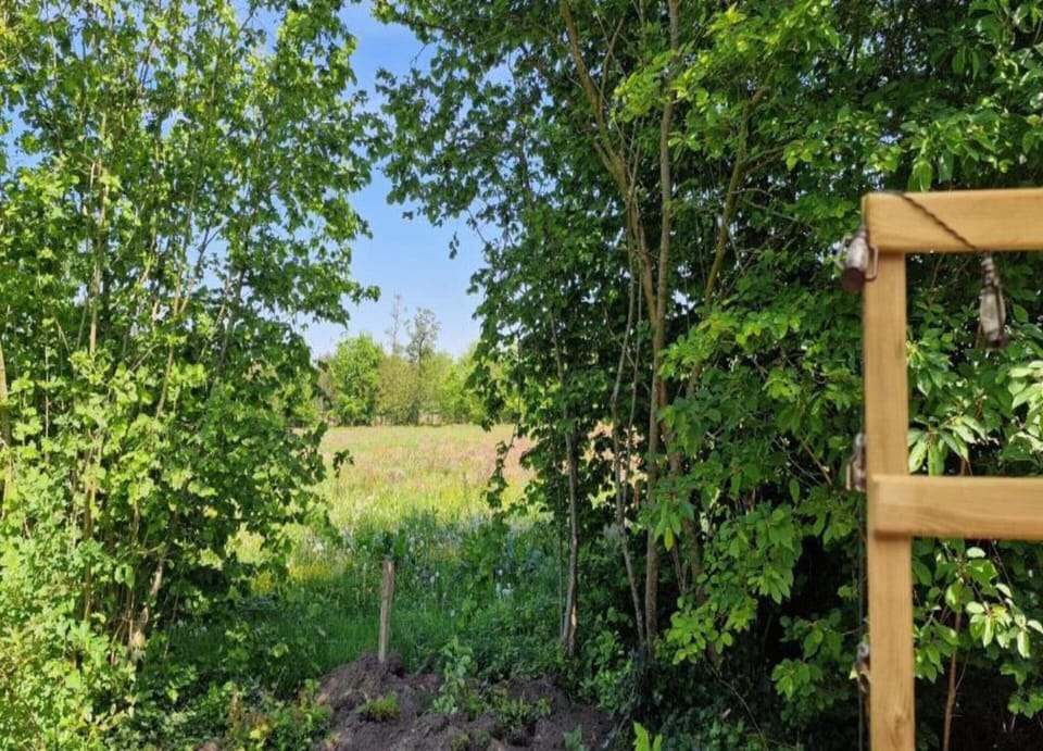 House | View from property