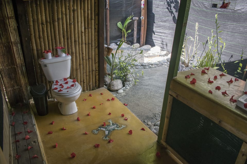 Shower, rainfall showerhead, free toiletries, towels