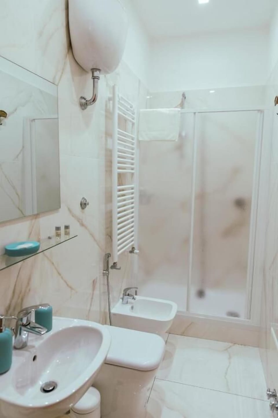 Shower, hair dryer, bidet, towels