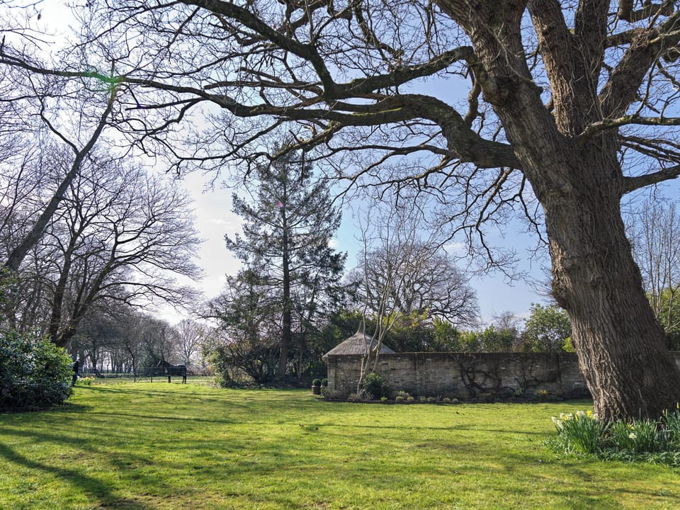 One acre of beautiful garden 