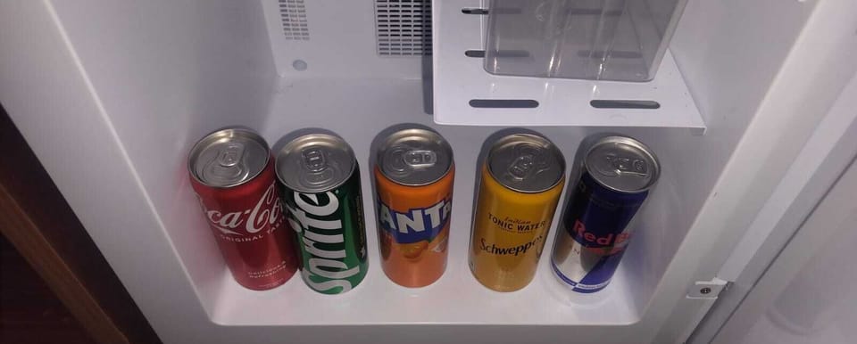 Mini-refrigerator