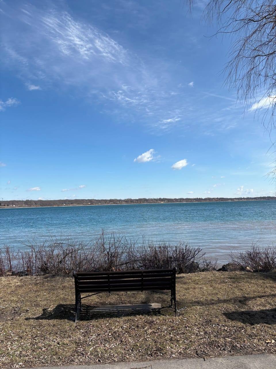 Niagara river