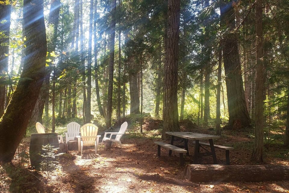 Great reading spot!