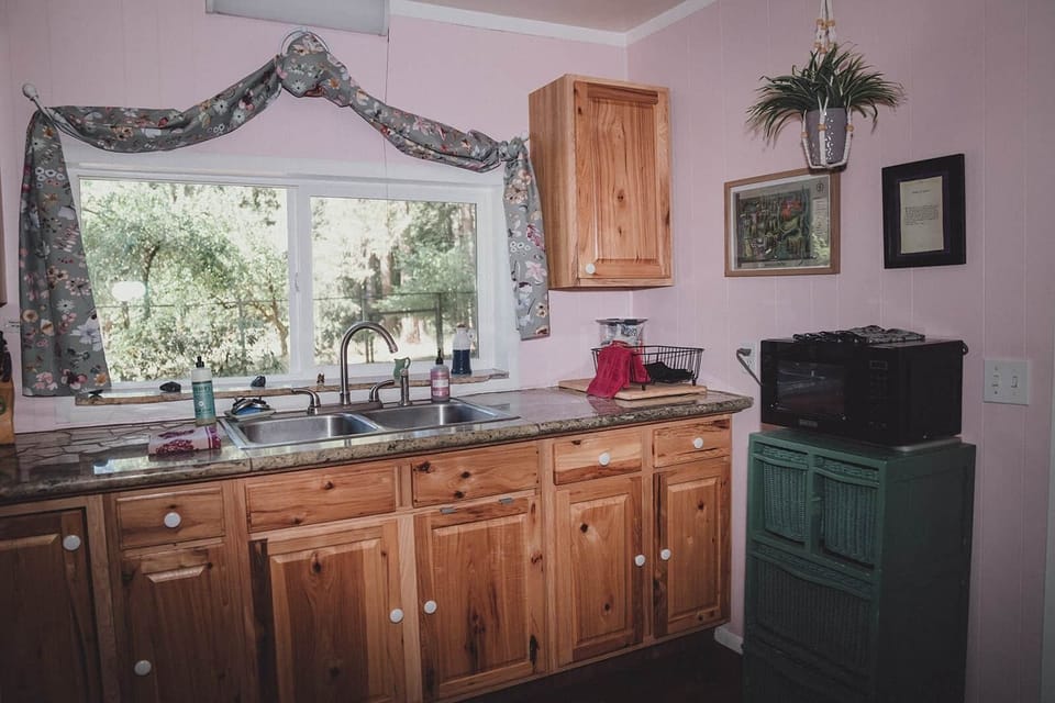 Views into the side yard & orchard, even when baking your creations!