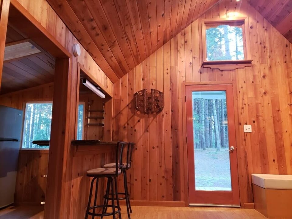 The view from your comfy reading chair, out past the living room into our forest beyond...