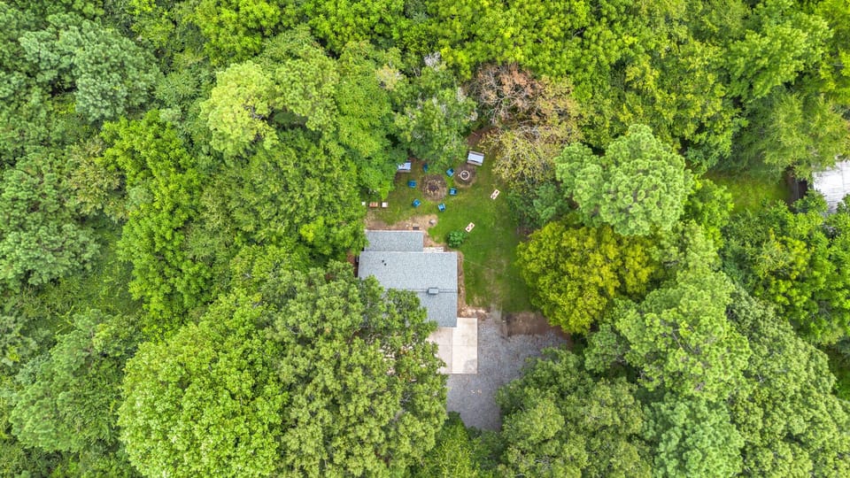 Secluded Retreat | Surrounded by Lush Trees
