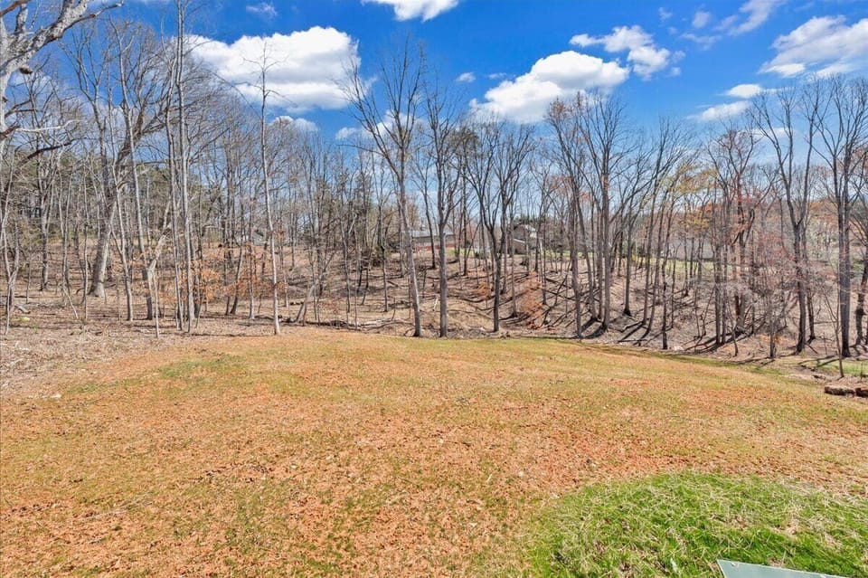 Back yard