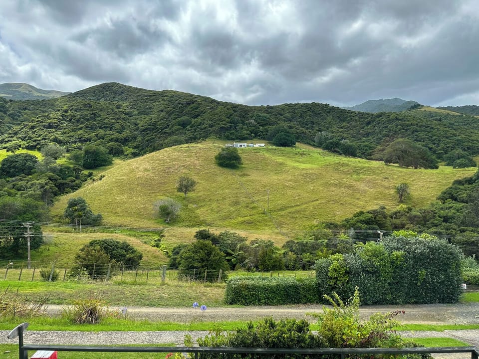 Aroha A-Frames Coromandel (20)