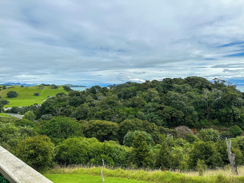 Aroha A-Frames Coromandel (11)