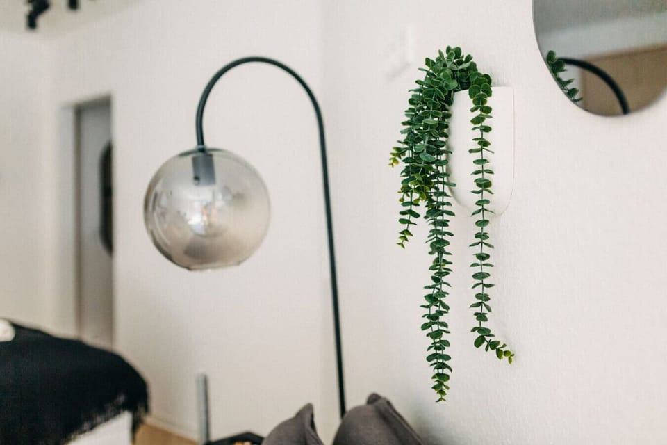 Stilvolle Details, die den Raum beleben: Die Kombination aus moderner Wandlampe und hängender Pflanze bringt Charakter und Gemütlichkeit in dein Zuhause auf Zeit. Ein harmonisches Zusammenspiel von Design und Natur.