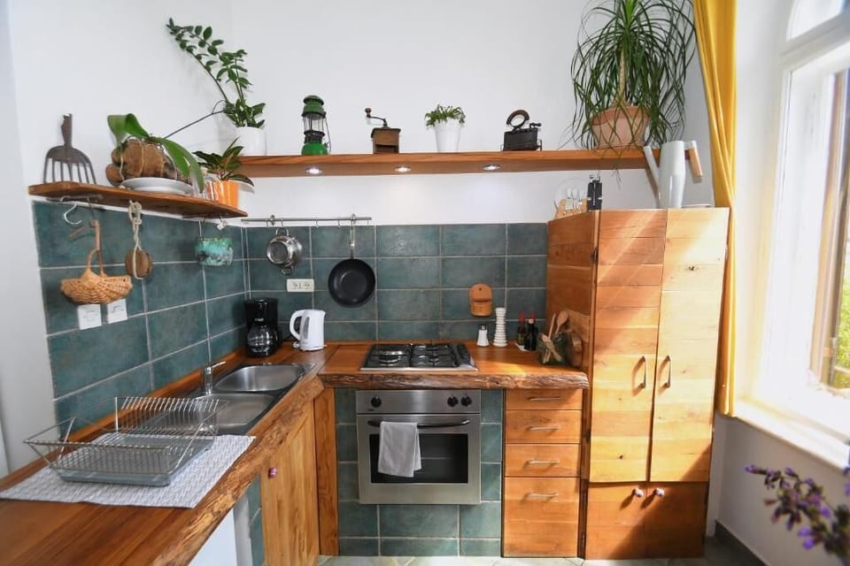 Apartment, Park View | Private kitchen | Fridge, oven, stovetop, cookware/dishes/utensils