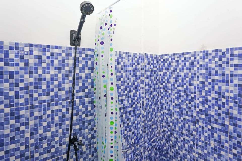 Deluxe Double Room | Bathroom | Shower, towels, soap, shampoo