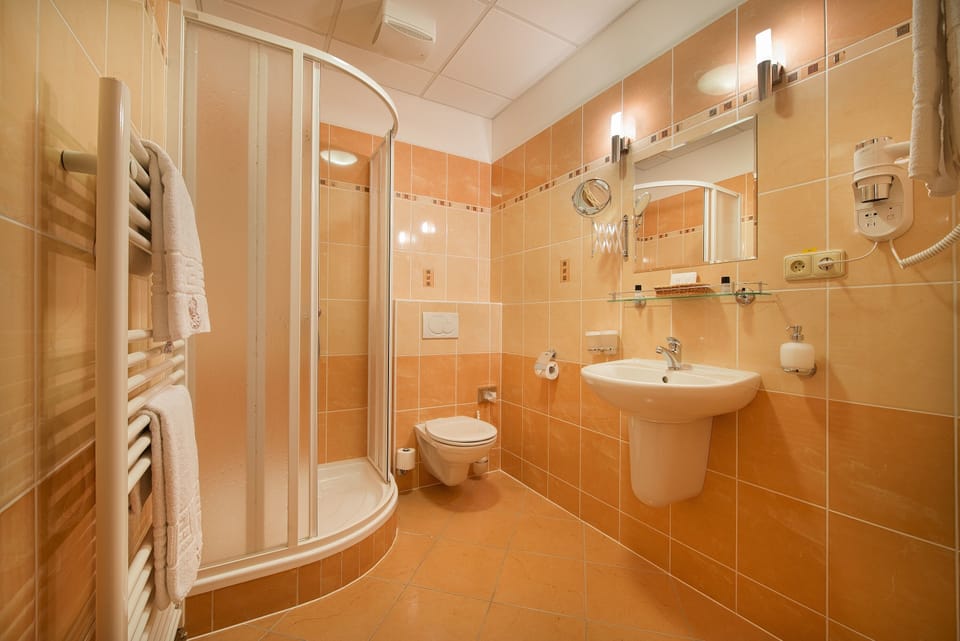 Hair dryer, towels, soap, shampoo