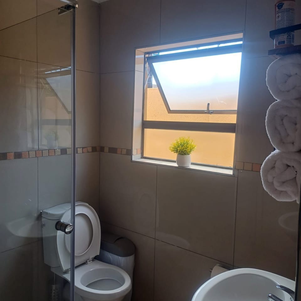 Hair dryer, shampoo, toilet paper