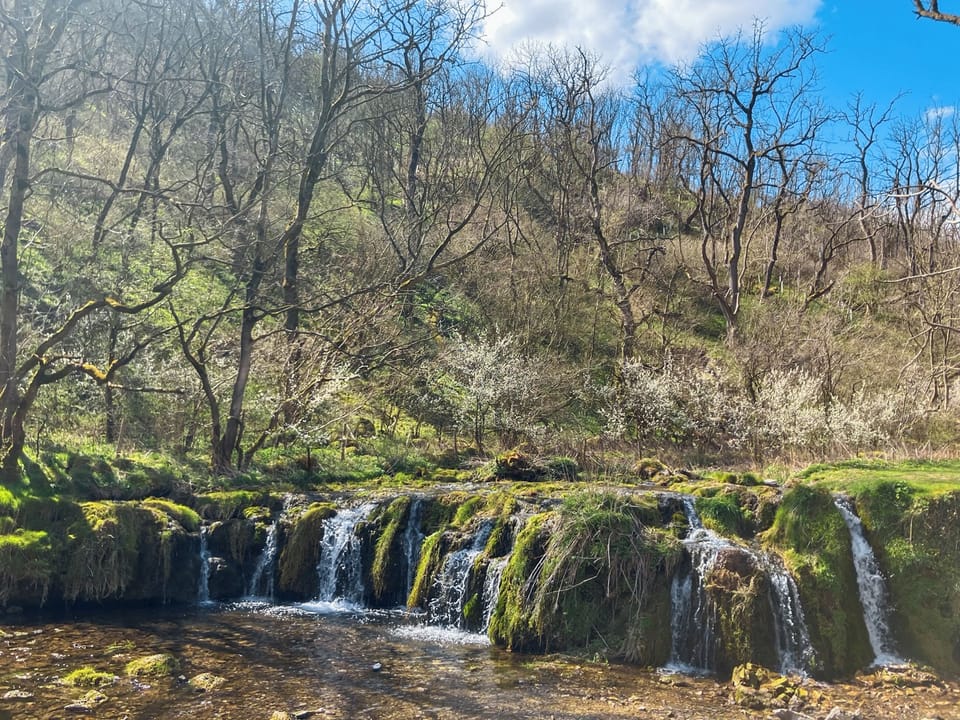 Lathkill Dale | Paddock Cottage, Monyash, near Bakewell