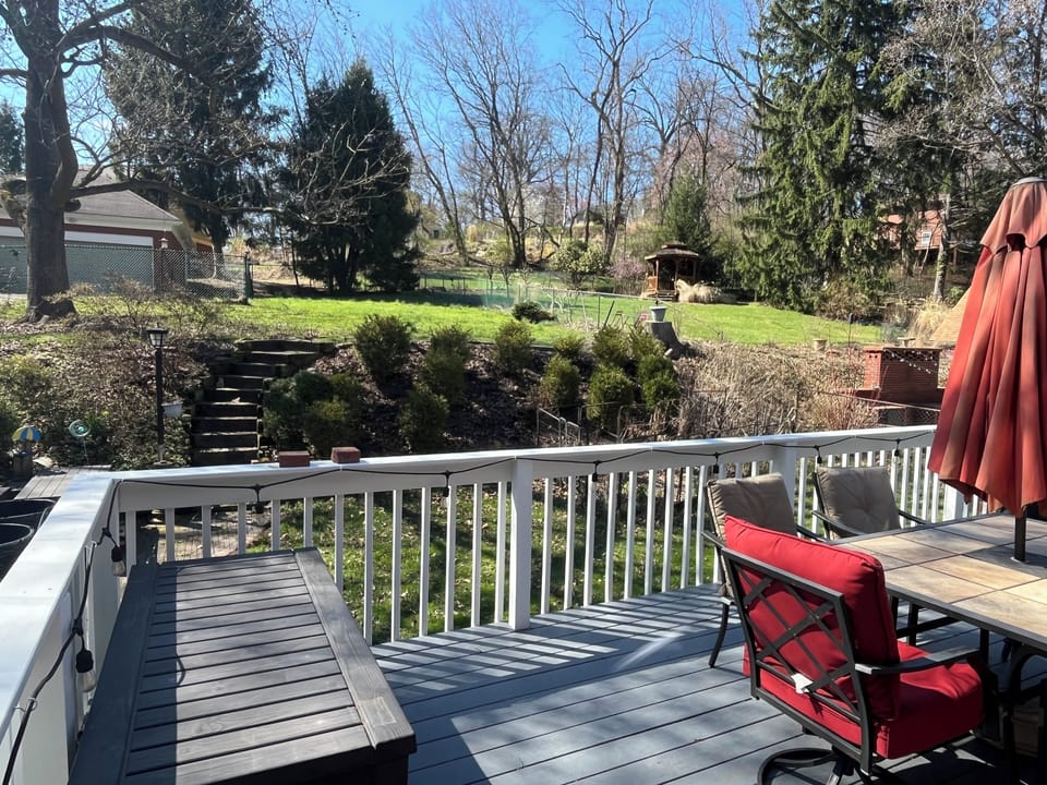 Backyard view