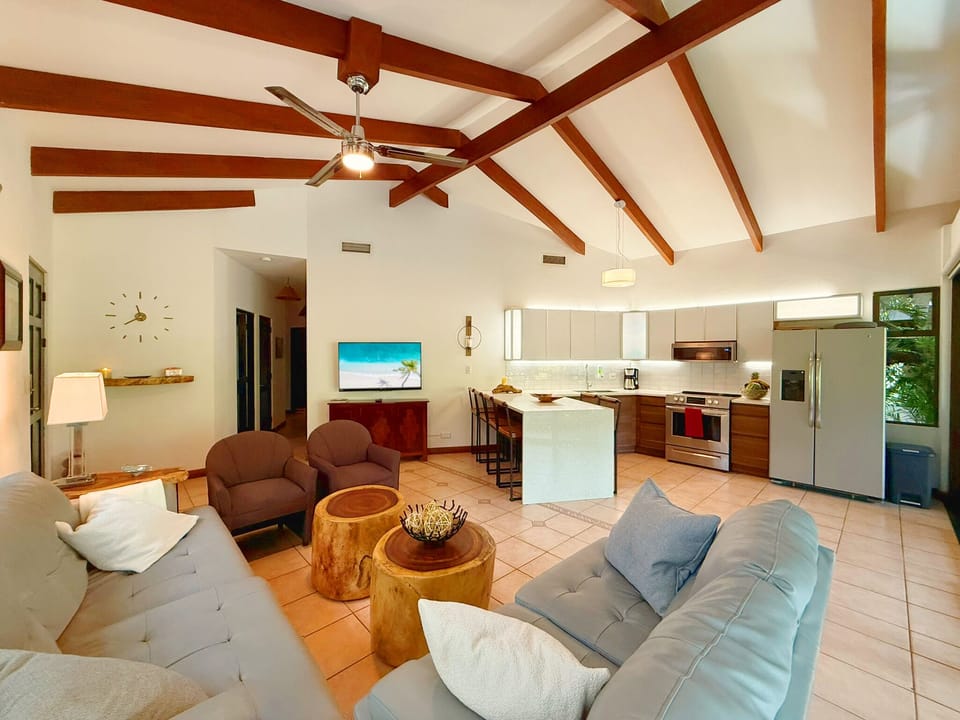 Open Living Room and Kitchen