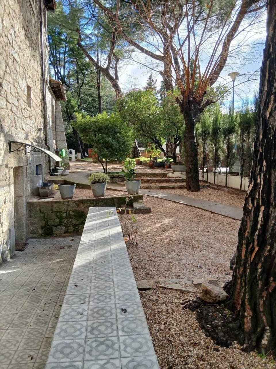 entrada planta baja (1)