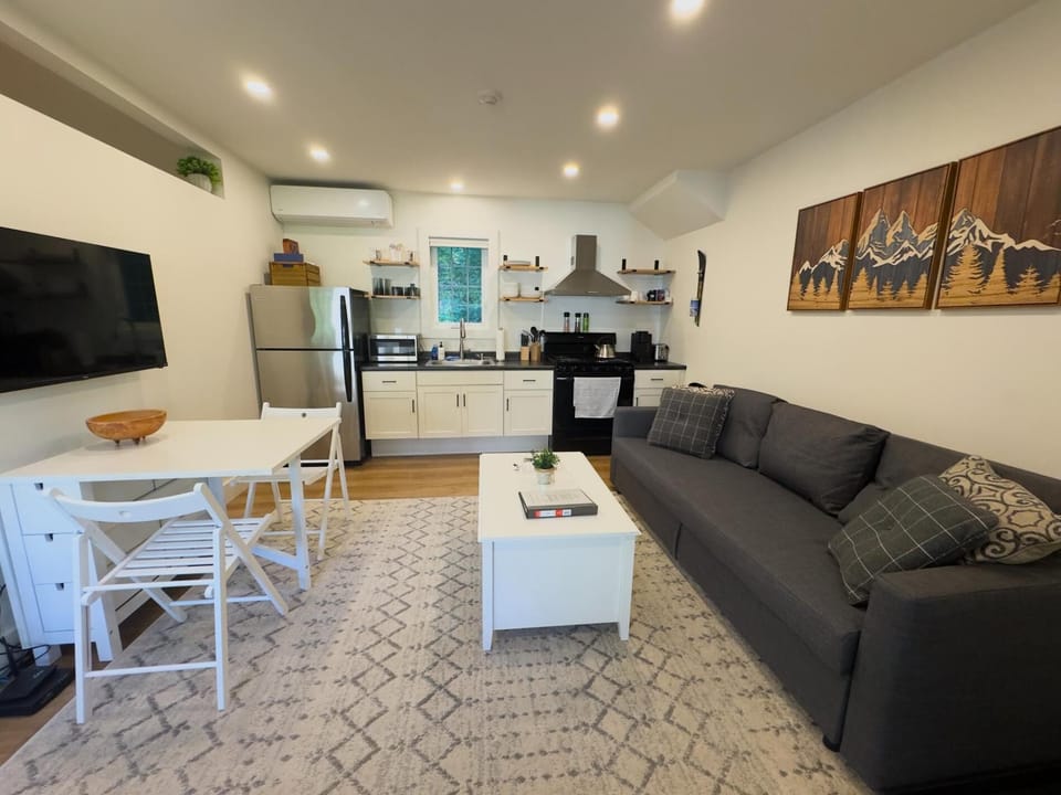 Renovated 1 bedroom Condo Amazing Central Location (6198)