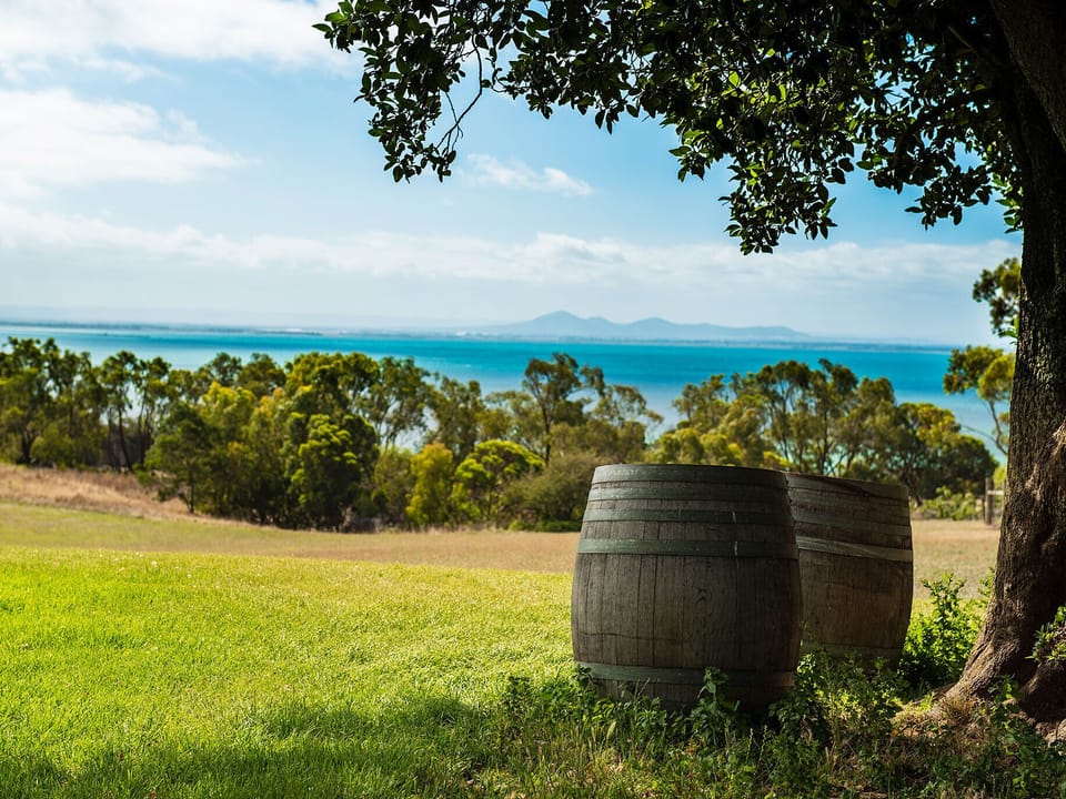 Local Wineries