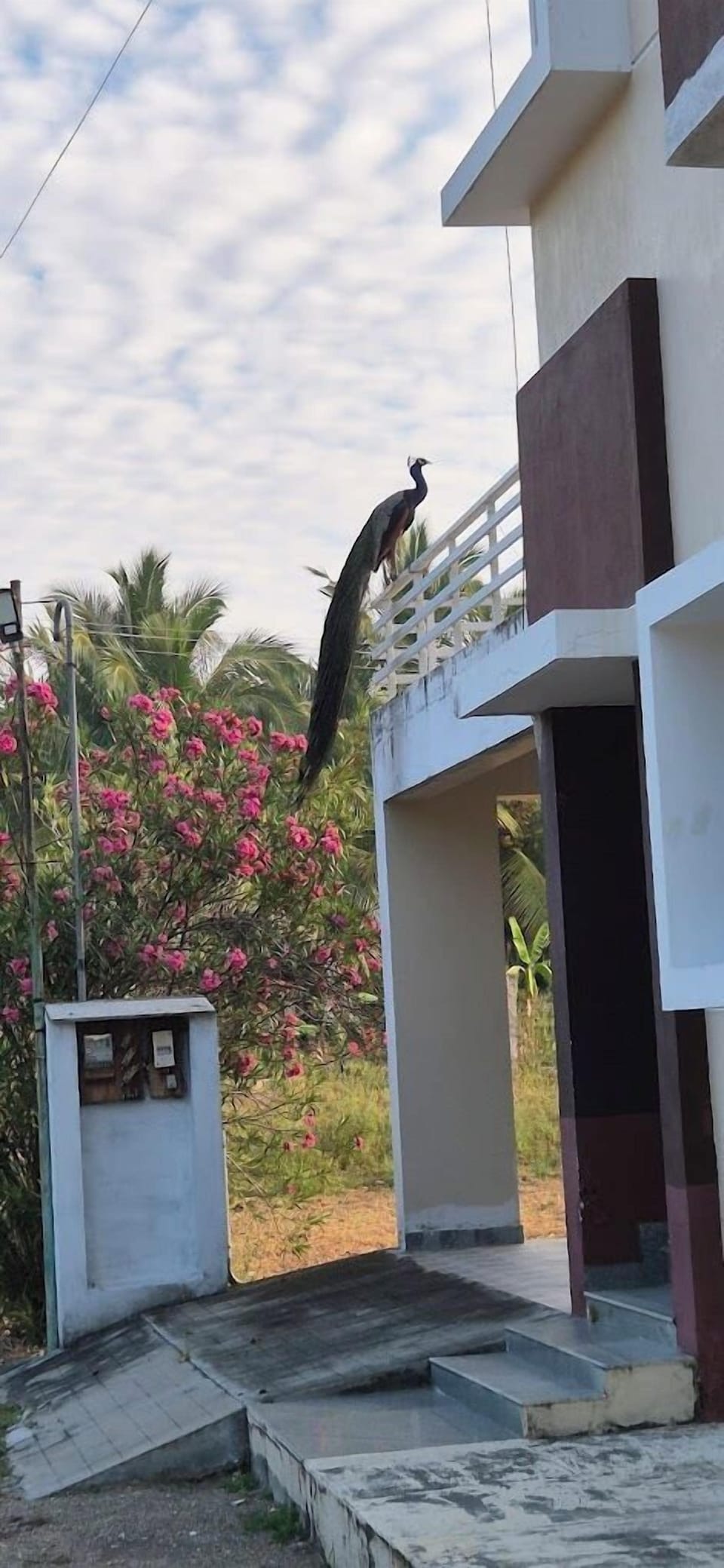 Basic Single Room, Hill View | Terrace/patio