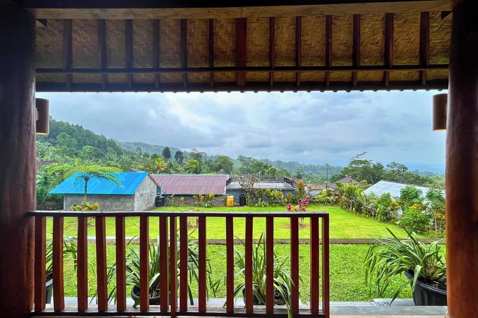 View from room